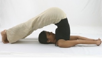 Weight Loss Yoga Course Weight Loss Yoga Course