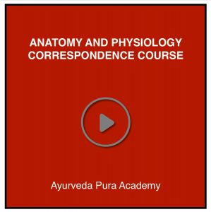 Anatomy and Physiology Correspondence Course