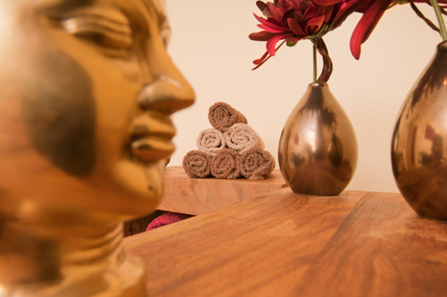 Courses at Ayurveda Pura