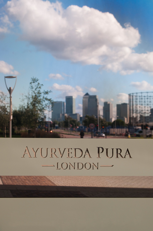 Pre_Ayurveda066