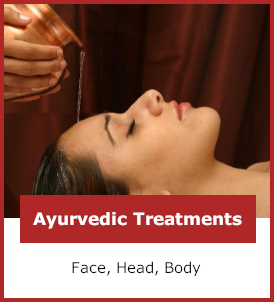 Ayurvedic Treatments category image