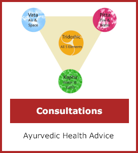 consultations category image