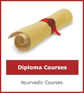 Diploma courses category image