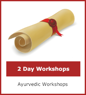 Two day workshops category image
