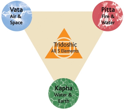 Discover your body's vertical balance